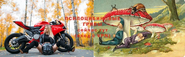 прущие крисы Михайловка