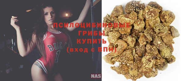 гашик Магас