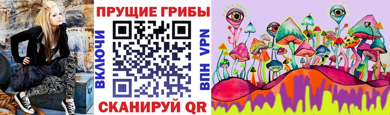 блэк спрут tor  Нижние Серги  Псилоцибиновые грибы мицелий 