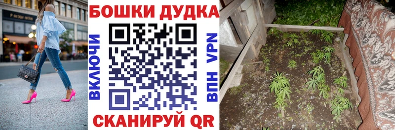 Шишки марихуана OG Kush Нижние Серги